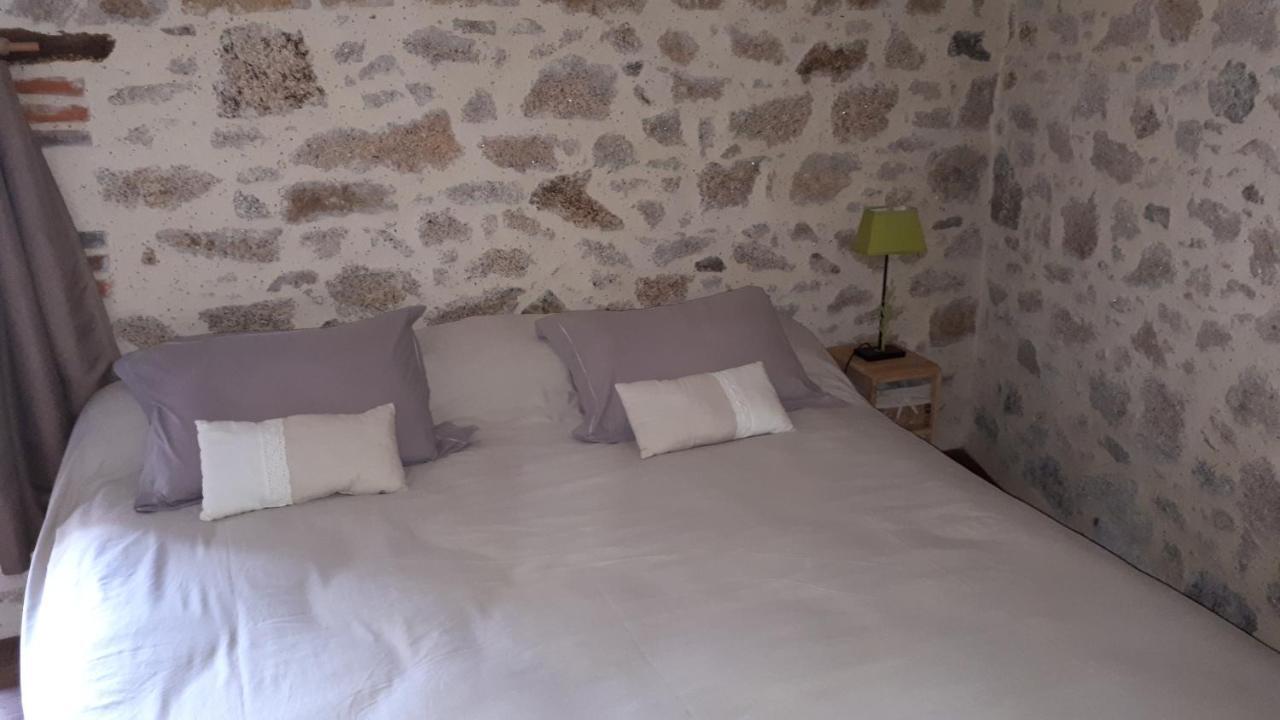 Demeure Du Castel Bed and Breakfast Les Châtelliers-Châteaumur Eksteriør billede